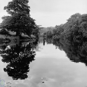 Fishing, River Swale, Easby